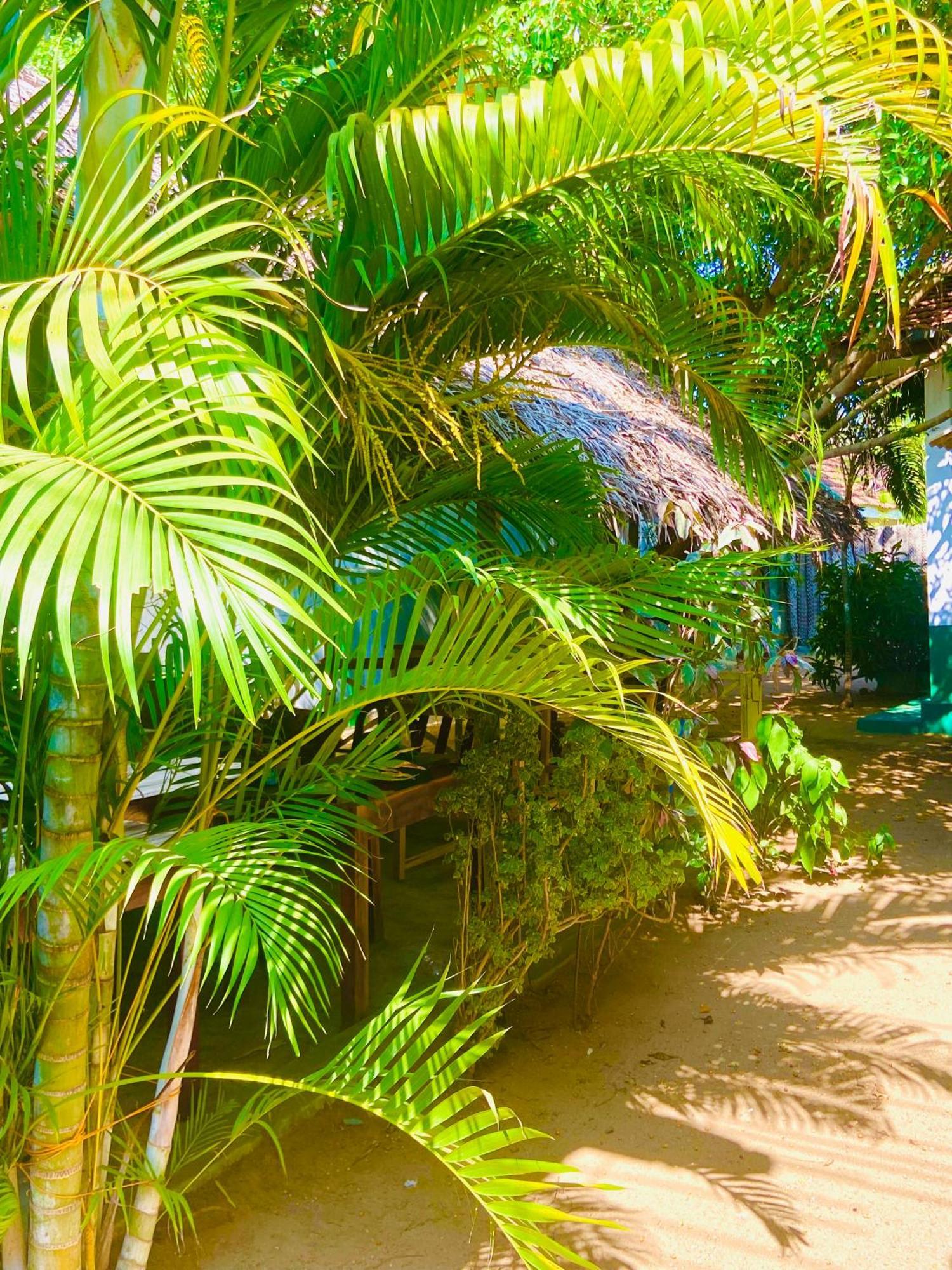 Marina Way Hotel Arugam Bay Exterior foto