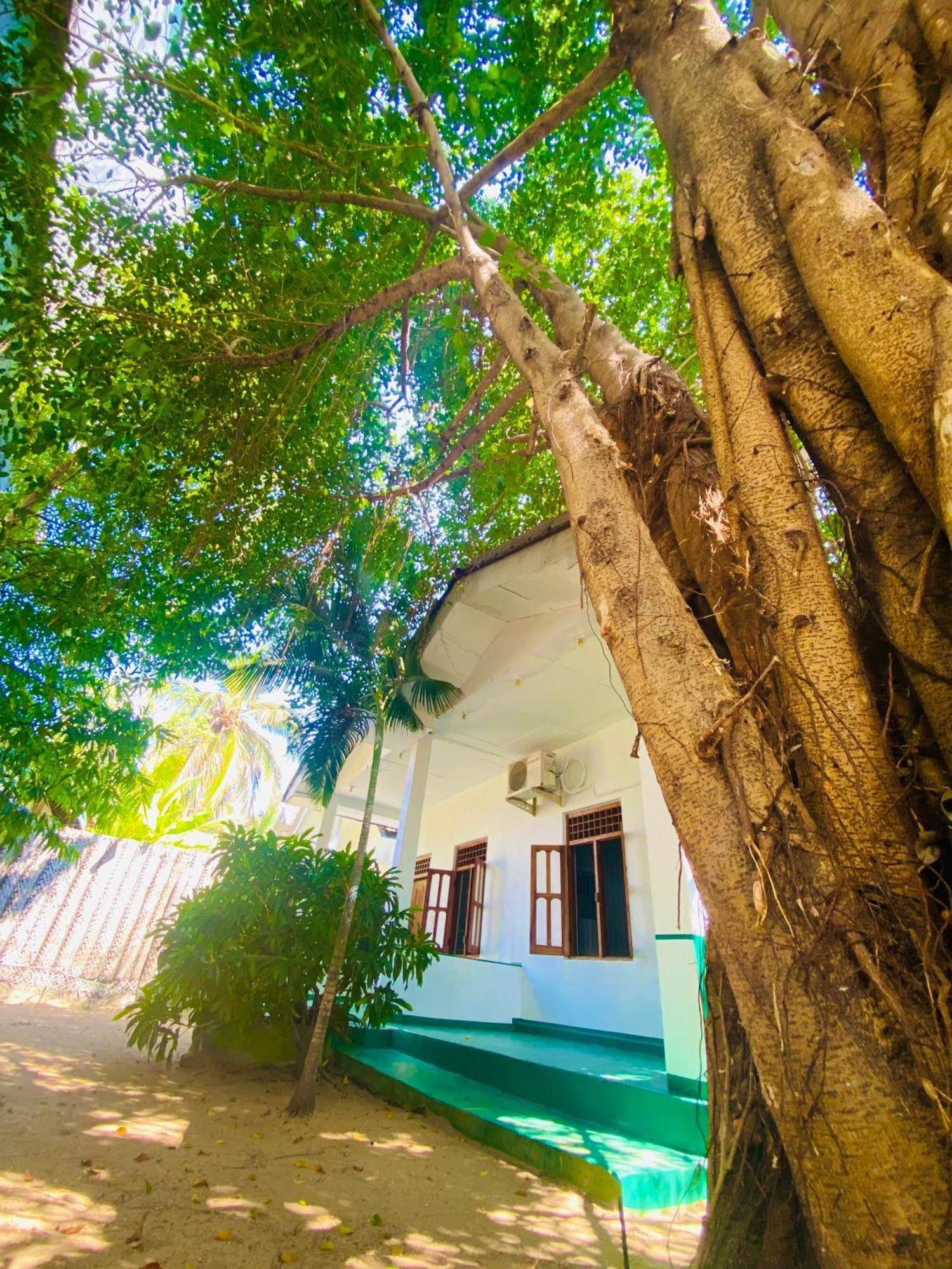 Marina Way Hotel Arugam Bay Exterior foto