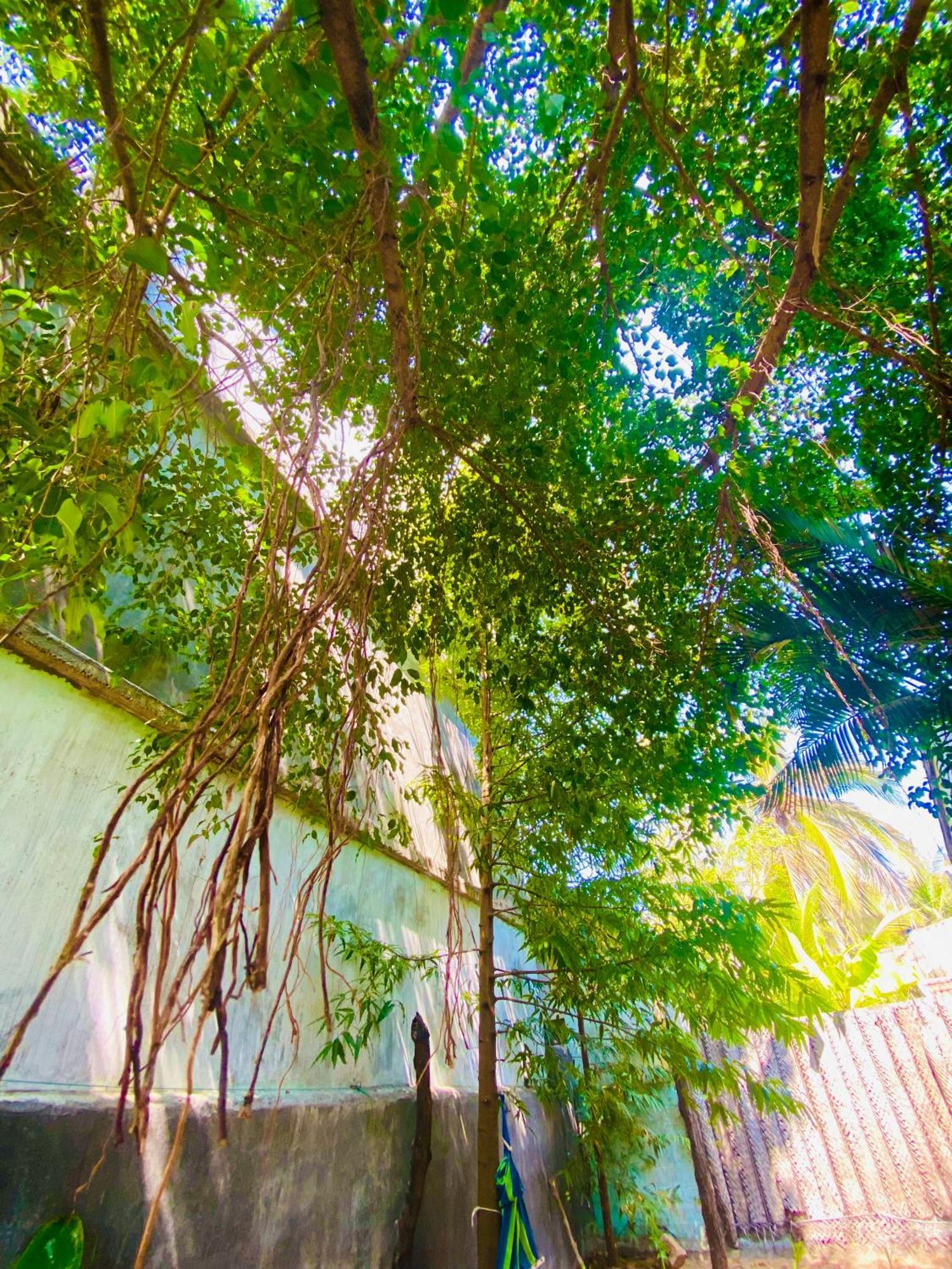Marina Way Hotel Arugam Bay Exterior foto