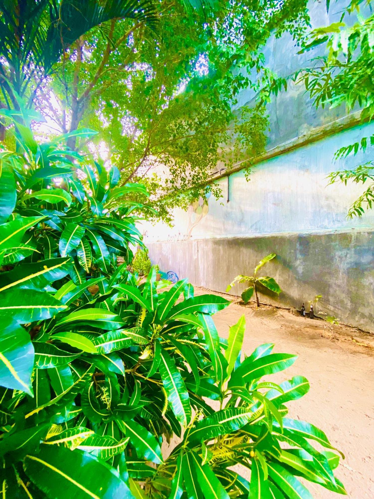 Marina Way Hotel Arugam Bay Exterior foto